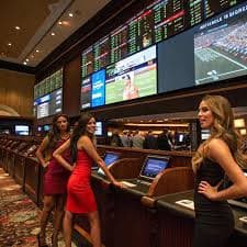 xbet